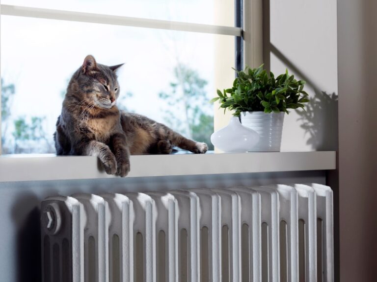 pets reduce indoor air quality